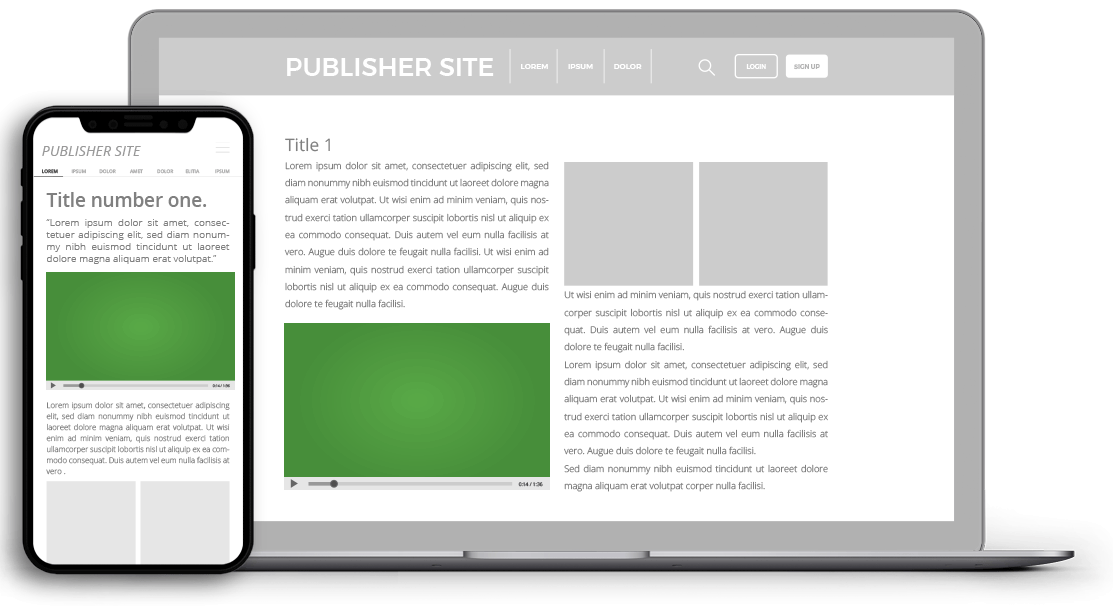 Video Ads